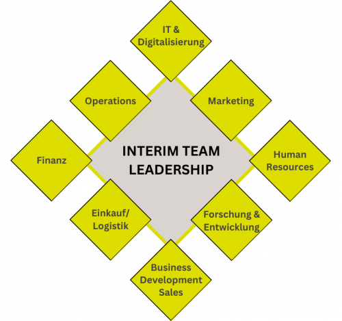 Interim Team Leadership